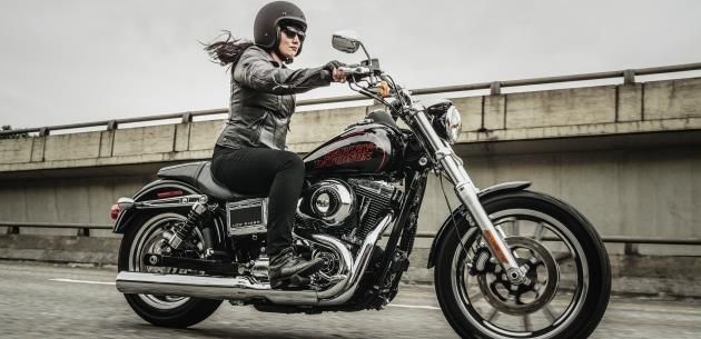 Harley-Davidson 2015 Modellerini Tantt