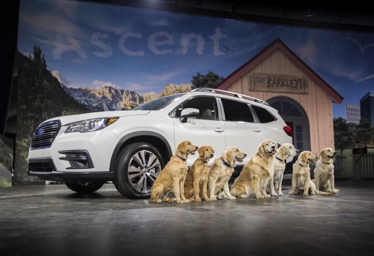 2019 Subaru Ascent resim galerisi (30.11.2017)