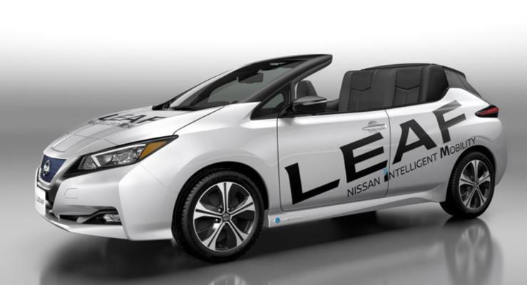 Nissan Leaf Open Air ortaya kt