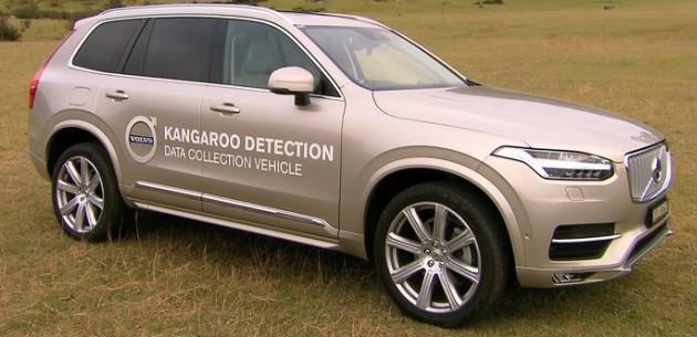 Volvo Kanguru Tespit Teknolojisini Test Etmeye Balad