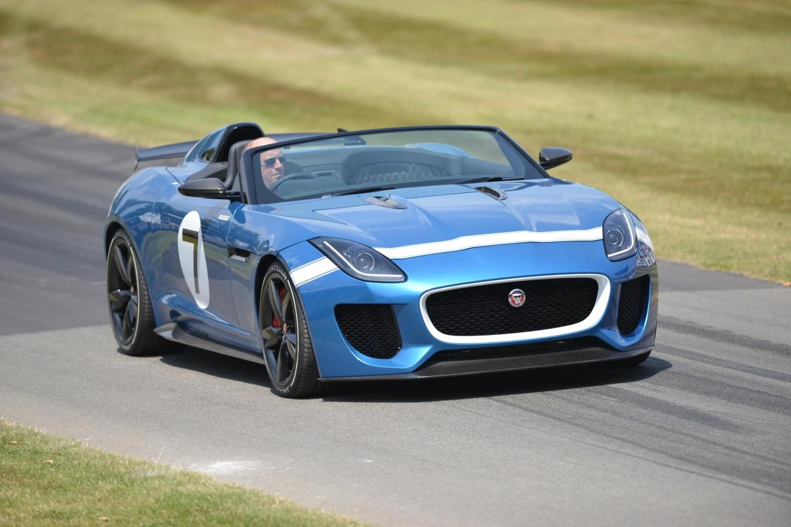 GOODWOOD OTOMOBL FESTVAL RESM GALERS