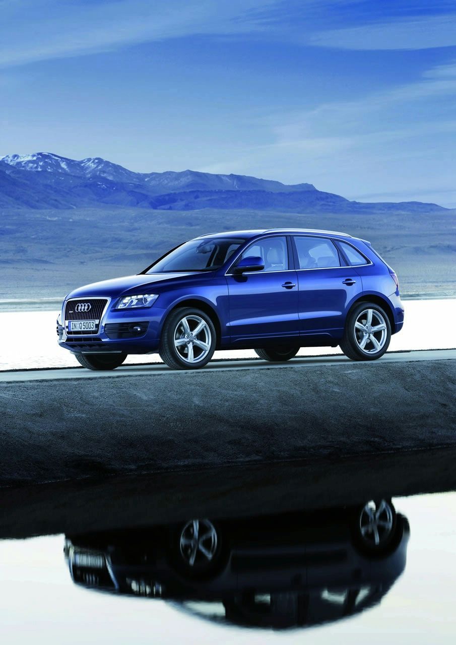 AUD Q5 (2009) GALER