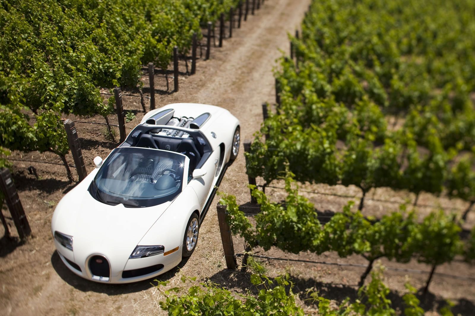 BUGATT VEYRON GALER