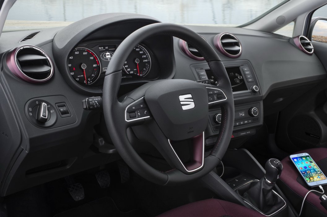 2015 SEAT �B�ZA DETAYLI RES�M GALER�S�