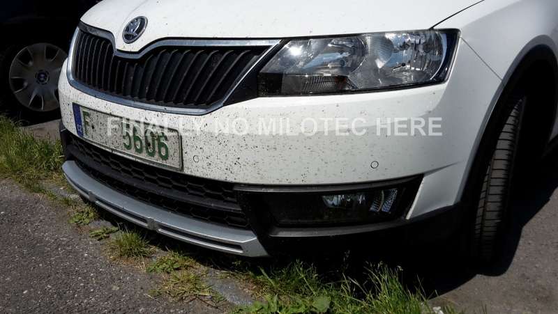 2016 SKODA RAP�D SCOUT �LK RES�M GALER�S�