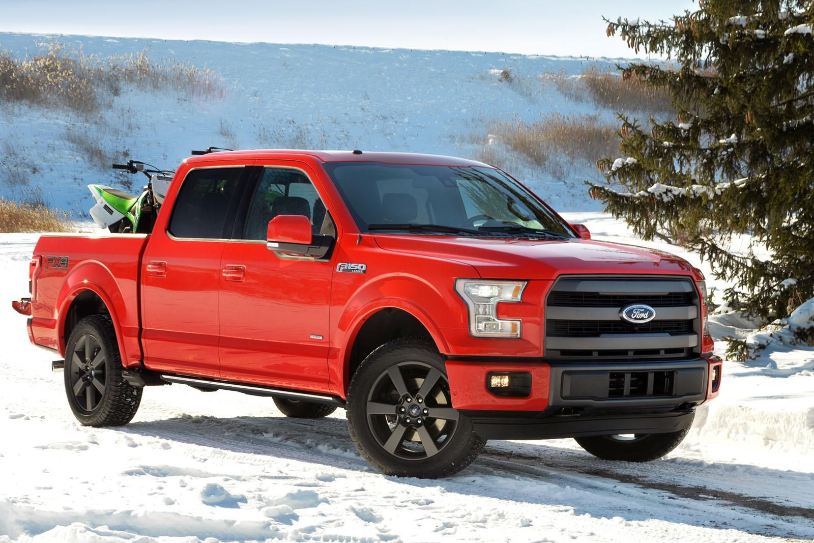 YEN 2015 FORD F150 RESM GALERS
