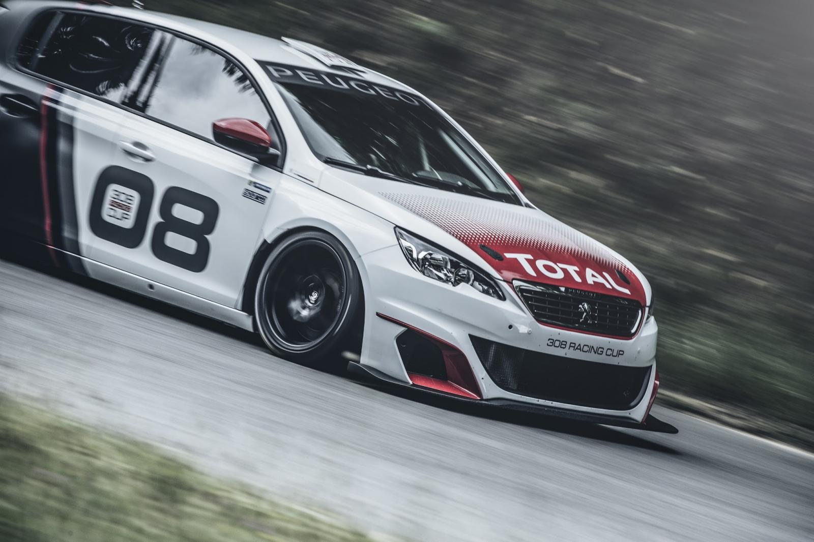 2016 Peugeot 308 Racing Cup Resim galerisi
