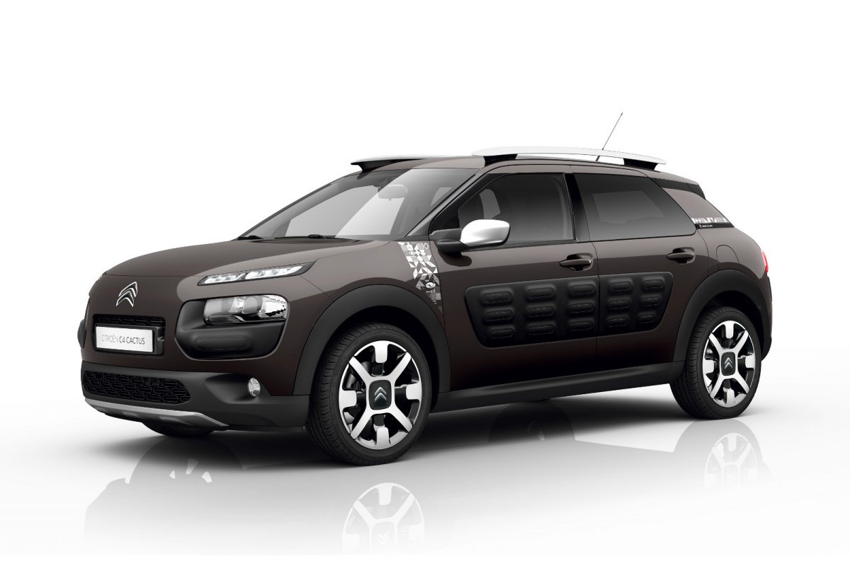 Citroen C4 Cactus Rip Curl Resim Galerisi