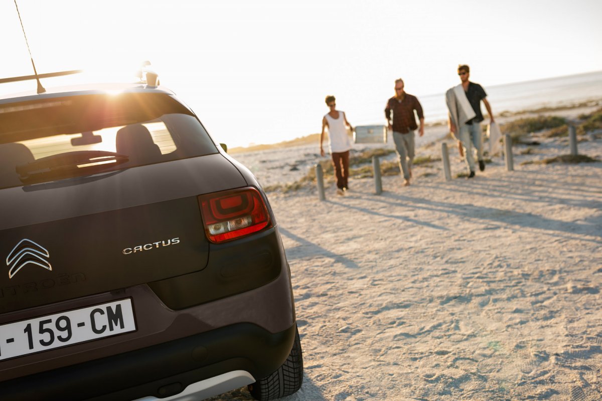 Citroen C4 Cactus Rip Curl Resim Galerisi