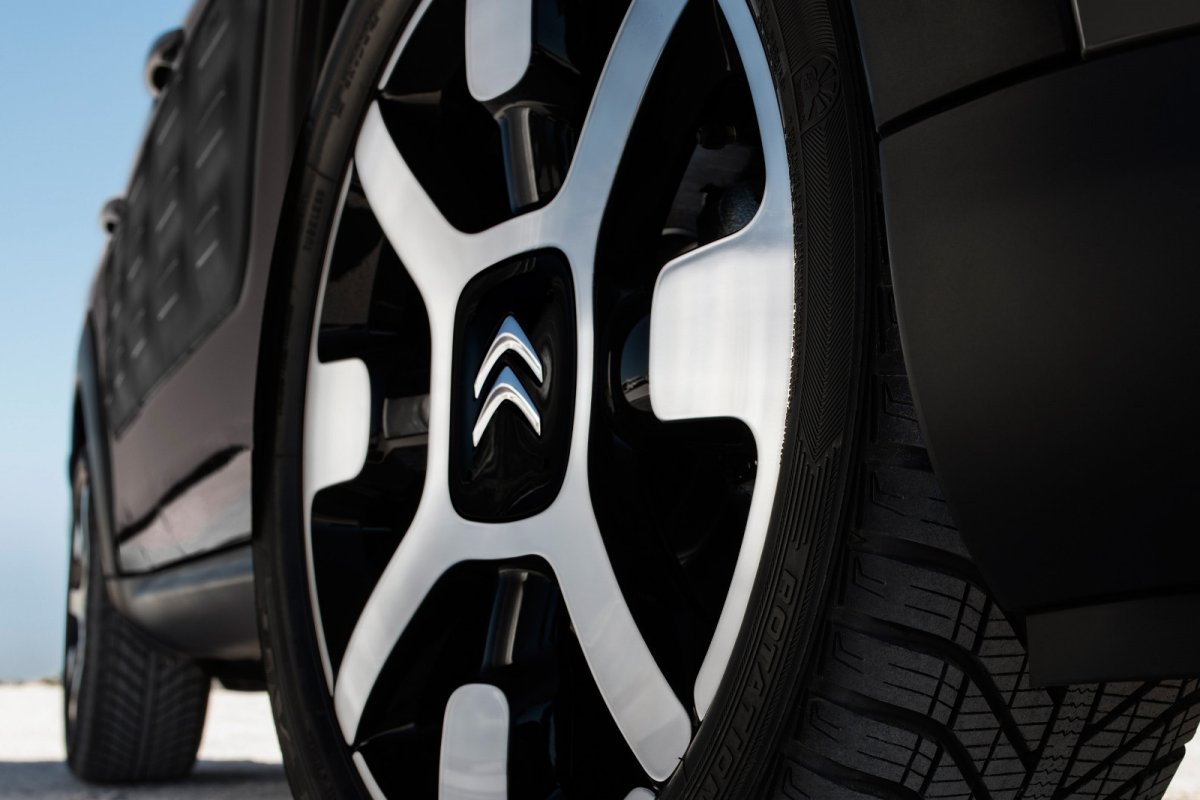 Citroen C4 Cactus Rip Curl Resim Galerisi