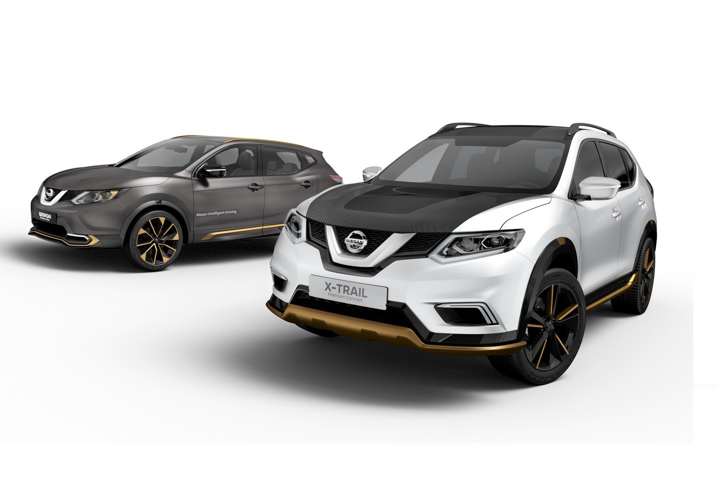 Nissan Qashqai ve X-Trail Premium Concept Resim Galerisi