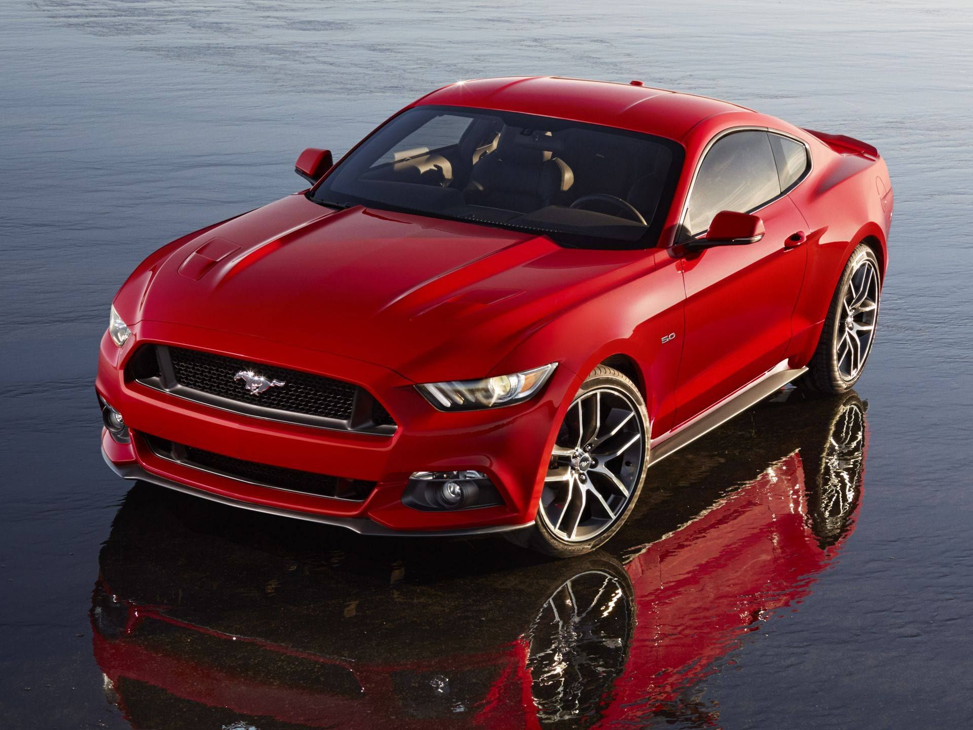 YEN 2015 FORD MUSTANG RESM GALERS