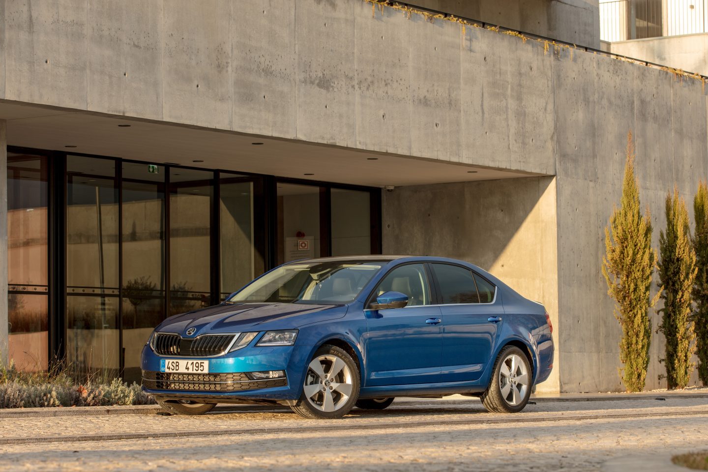 2017 Skoda Octavia Detay Resim Galerisi