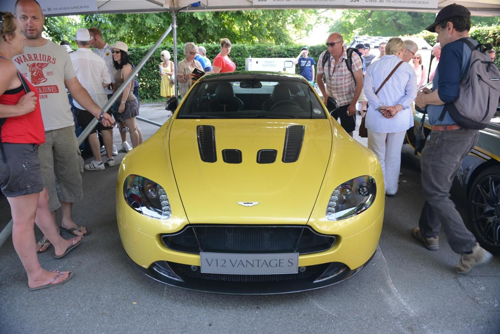 GOODWOOD OTOMOBL FESTVAL RESM GALERS