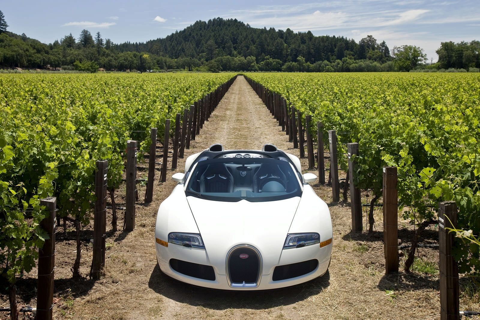 BUGATT VEYRON GALER