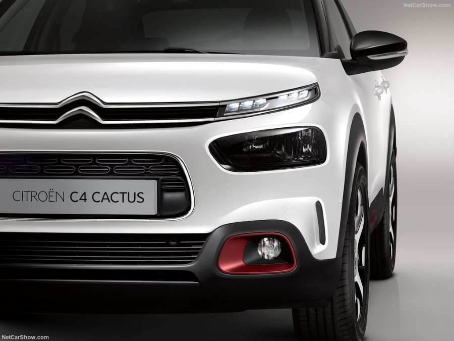 2018 Citroen C4 Cactus resim galerisi (27.11.2018)