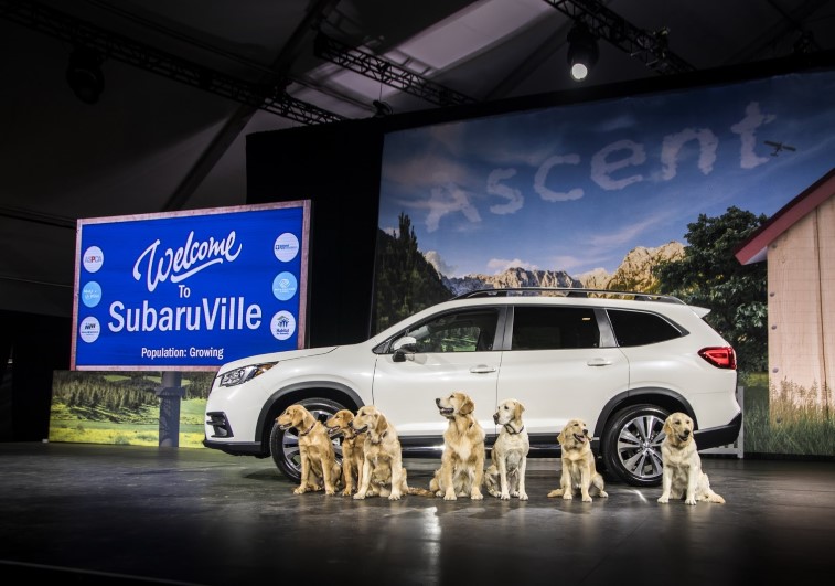 2019 Subaru Ascent resim galerisi (30.11.2017)
