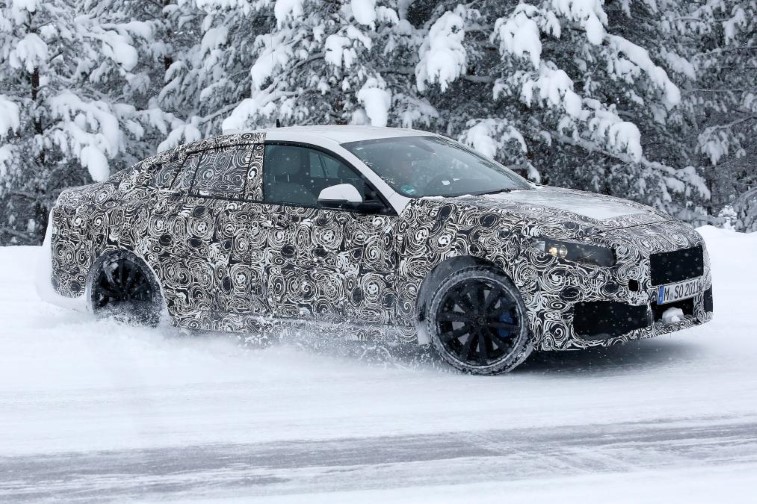 2019 BMW 2 Serisi Gran Coupe resim galerisi (01.02.2018)