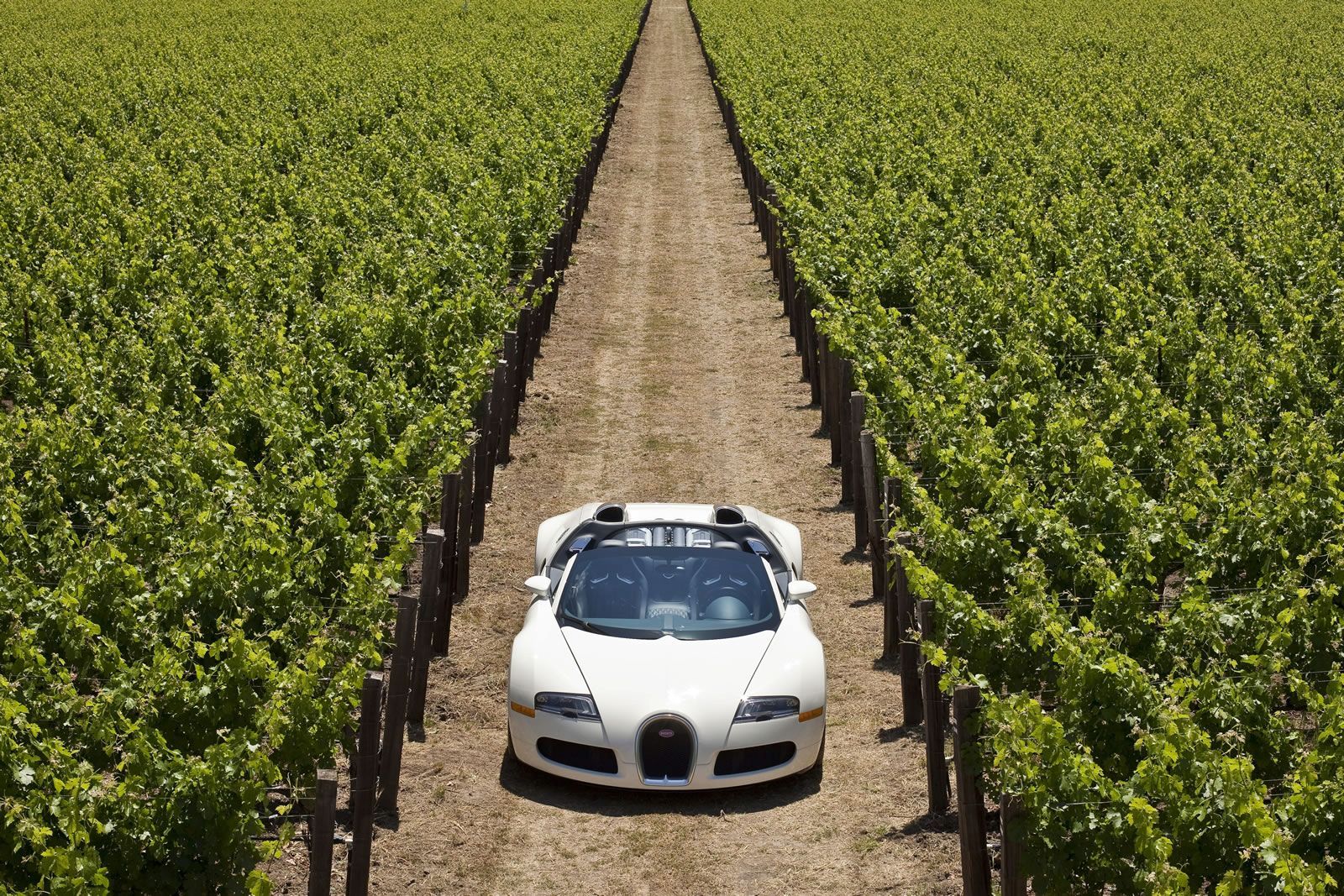 BUGATT VEYRON GALER