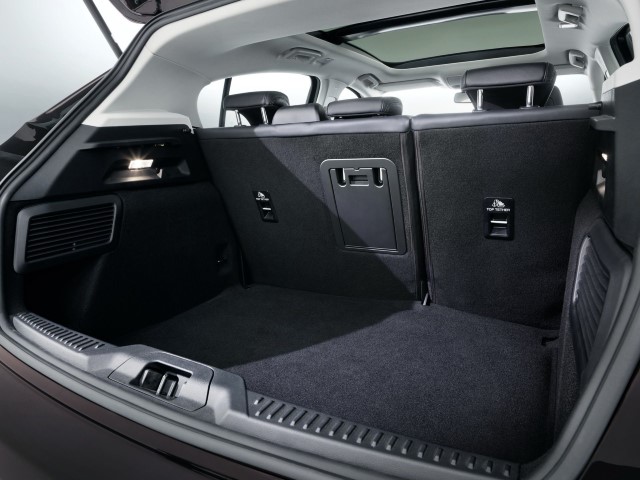 2019 Ford Focus resim galerisi (11.04.2018)