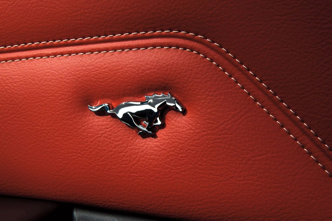 FORD MUSTANG (2010) GALER
