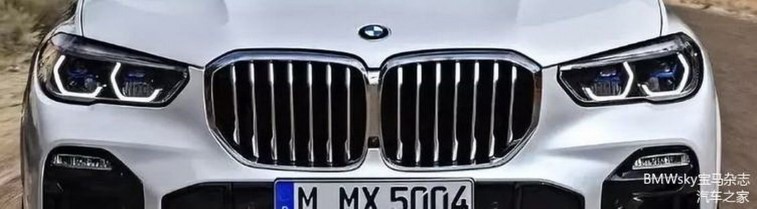 2019 BMW X5 (G05) resim galerisi (05.06.2018)
