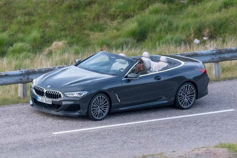 2019 BMW 8 Serisi Cabrio resim galerisi (24.07.2018)