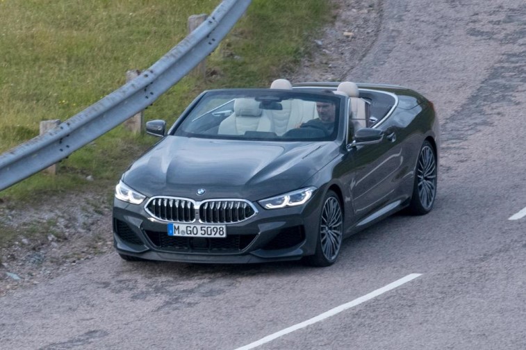 2019 BMW 8 Serisi Cabrio resim galerisi (24.07.2018)