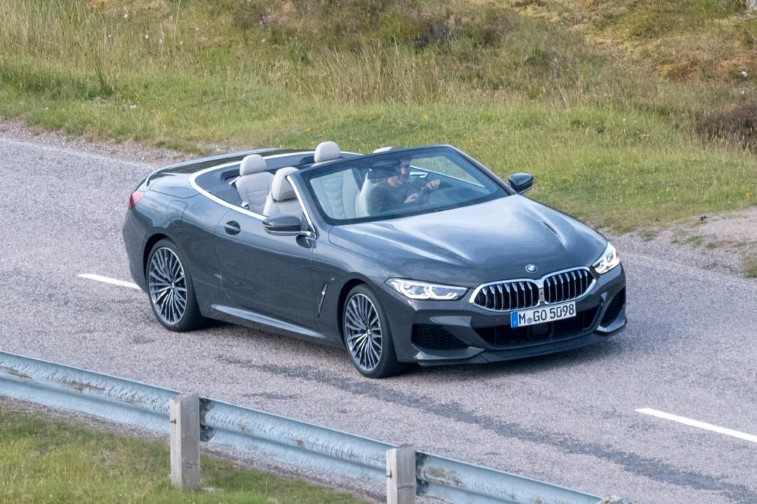2019 BMW 8 Serisi Cabrio resim galerisi (24.07.2018)