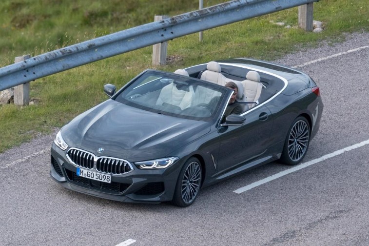 2019 BMW 8 Serisi Cabrio resim galerisi (24.07.2018)