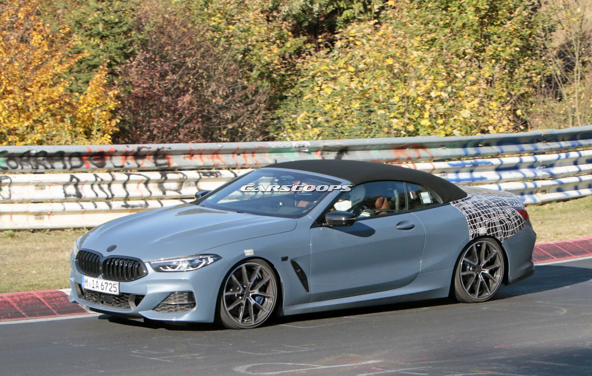 2019 BMW 8 Serisi Cabrio resim galerisi (16.10.2018)
