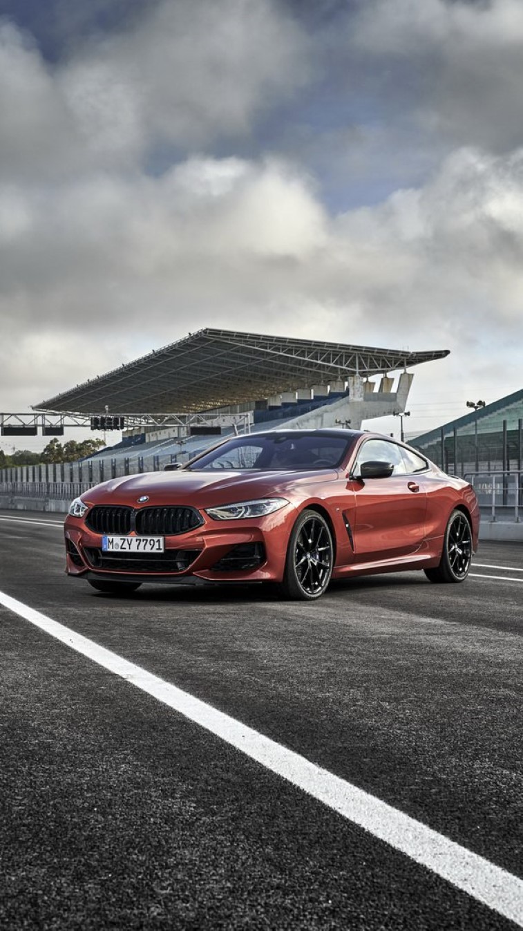 Yeni BMW 8-Serisi Coupe resim galerisi (28.10.2018)