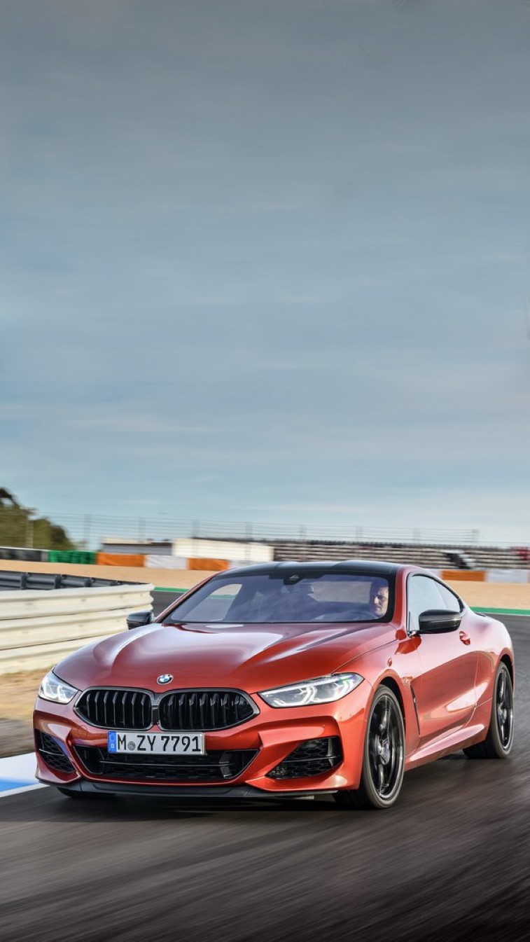 Yeni BMW 8-Serisi Coupe resim galerisi (28.10.2018)