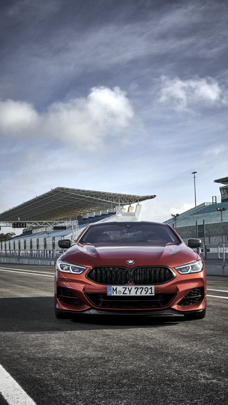 Yeni BMW 8-Serisi Coupe resim galerisi (28.10.2018)