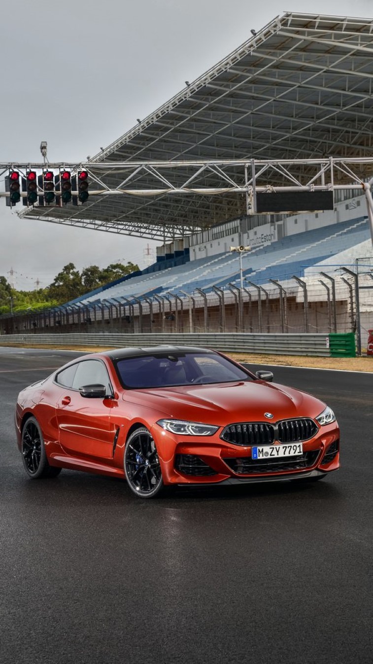 Yeni BMW 8-Serisi Coupe resim galerisi (28.10.2018)