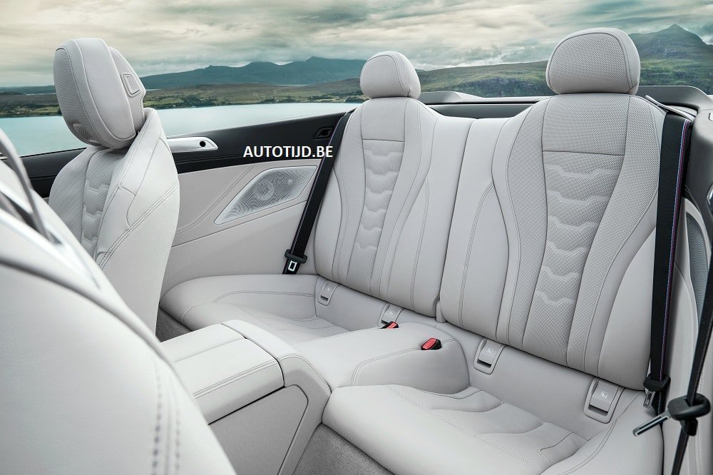 2019 BMW 8-Serisi Cabrio resim galerisi (31.10.2018)