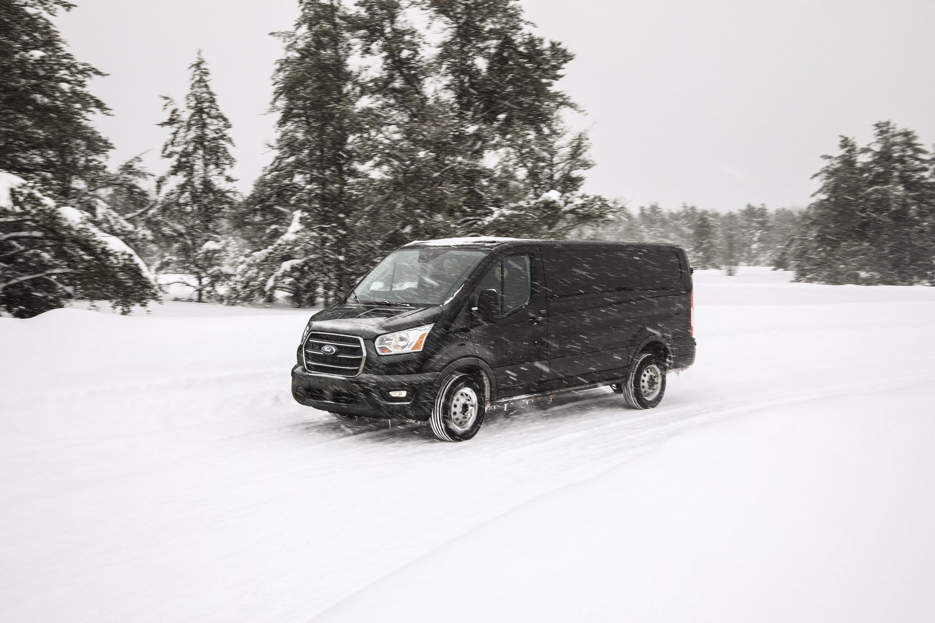 2020 Ford Transit resim galerisi (07.03.2019)
