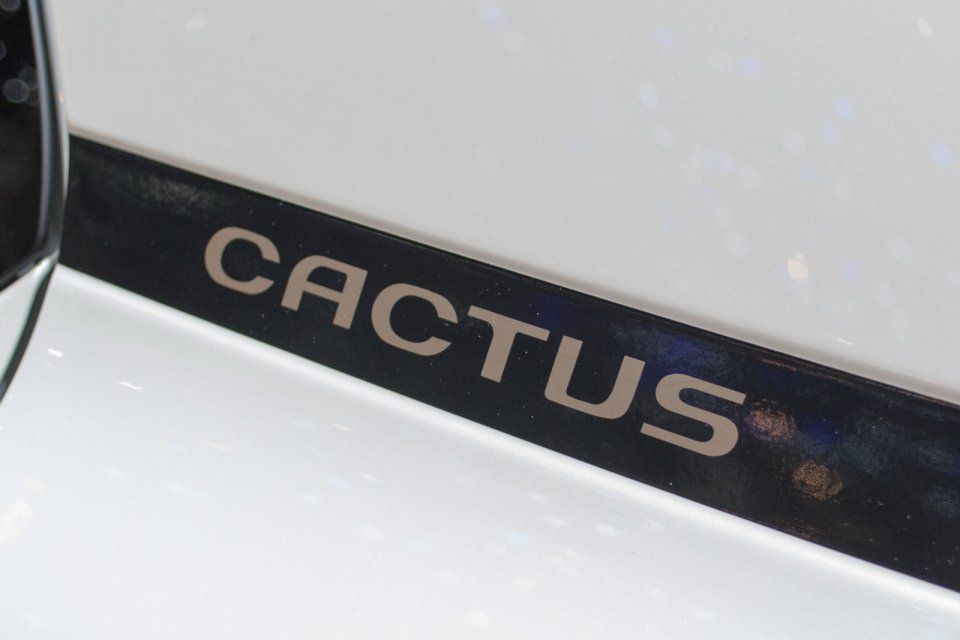 YEN CTROEN C4 CACTUS CENEVRE RESM GALERS