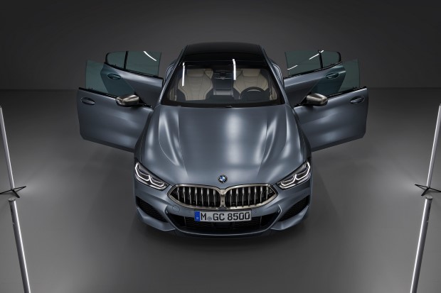 2020 BMW 8 Serisi Gran Coupe resim galerisi (20.06.2019)