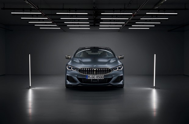 2020 BMW 8 Serisi Gran Coupe resim galerisi (20.06.2019)