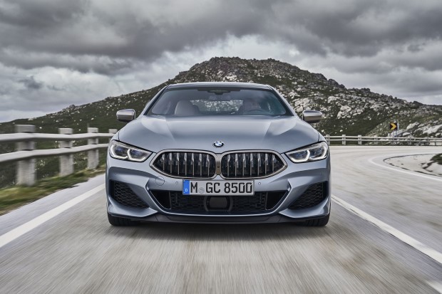 2020 BMW 8 Serisi Gran Coupe resim galerisi (20.06.2019)
