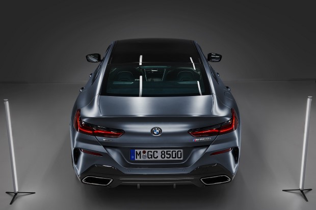 2020 BMW 8 Serisi Gran Coupe resim galerisi (20.06.2019)
