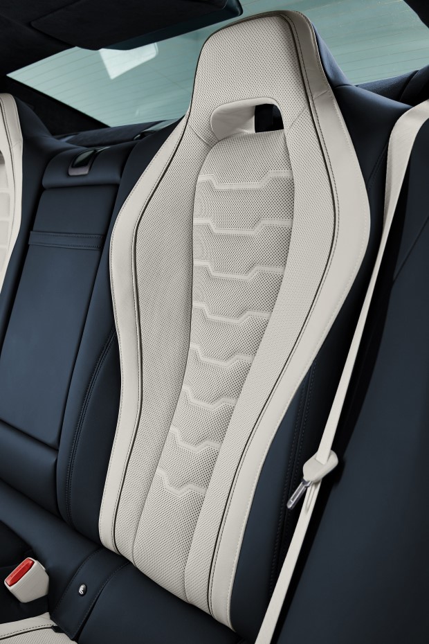 2020 BMW 8 Serisi Gran Coupe resim galerisi (20.06.2019)