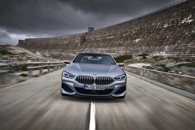 2020 BMW 8 Serisi Gran Coupe resim galerisi (20.06.2019)