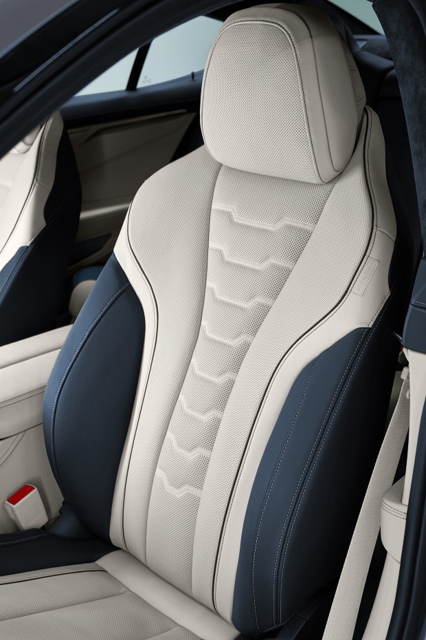 2020 BMW 8 Serisi Gran Coupe resim galerisi (20.06.2019)