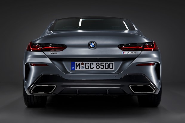2020 BMW 8 Serisi Gran Coupe resim galerisi (20.06.2019)