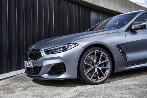 2020 BMW 8 Serisi Gran Coupe resim galerisi (20.06.2019)