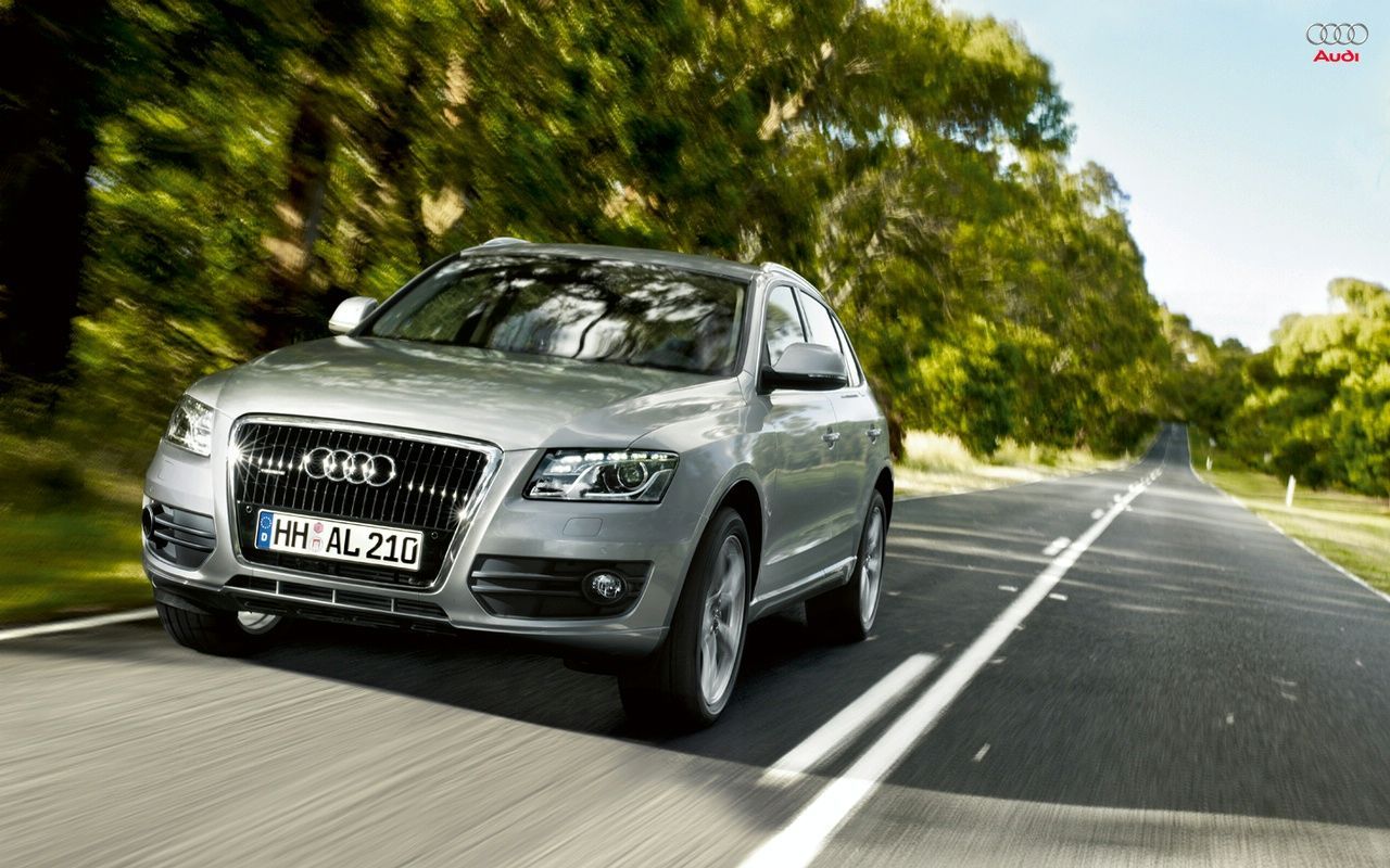 AUD Q5 (2009) GALER