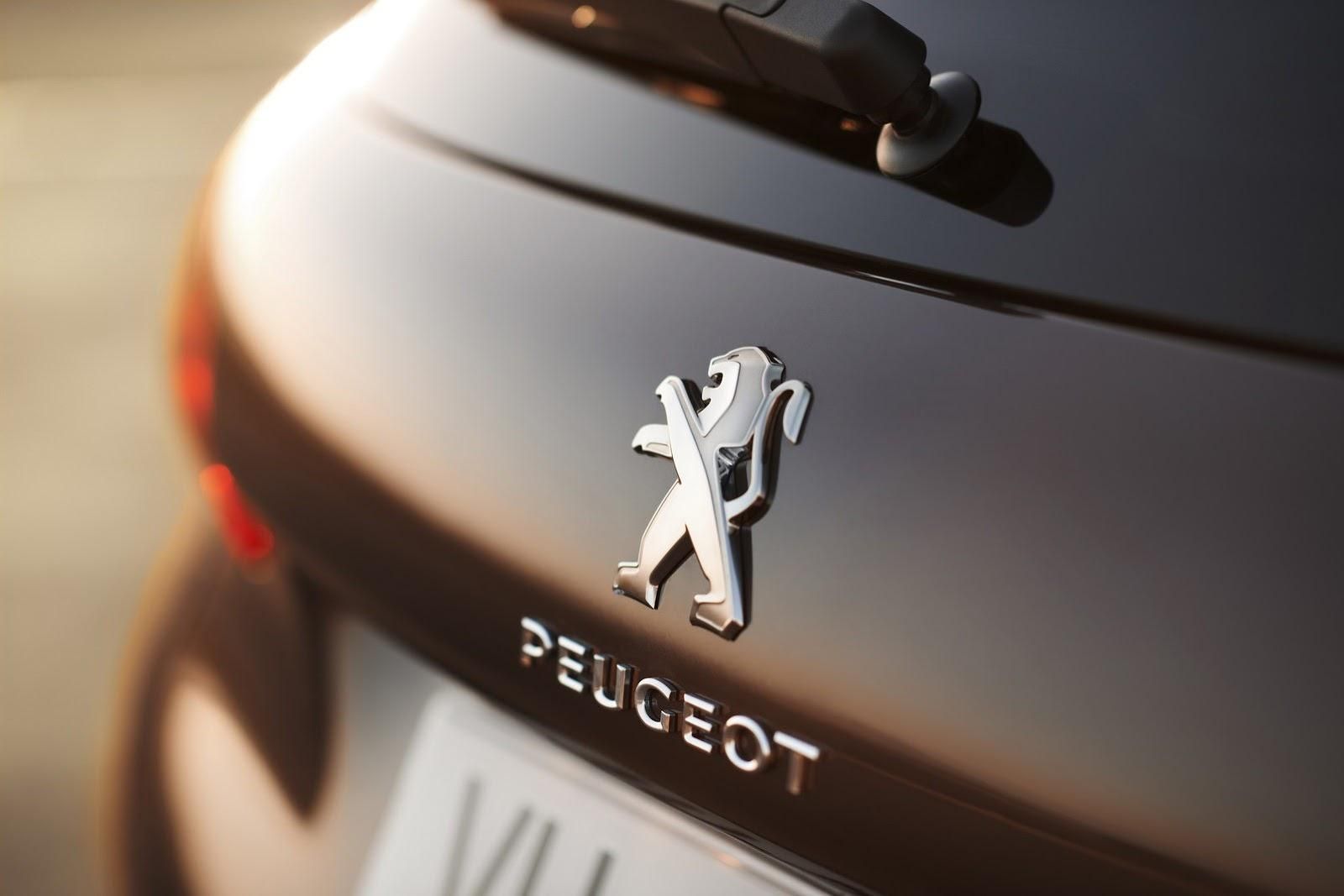 PEUGEOT 2008 GALER 2