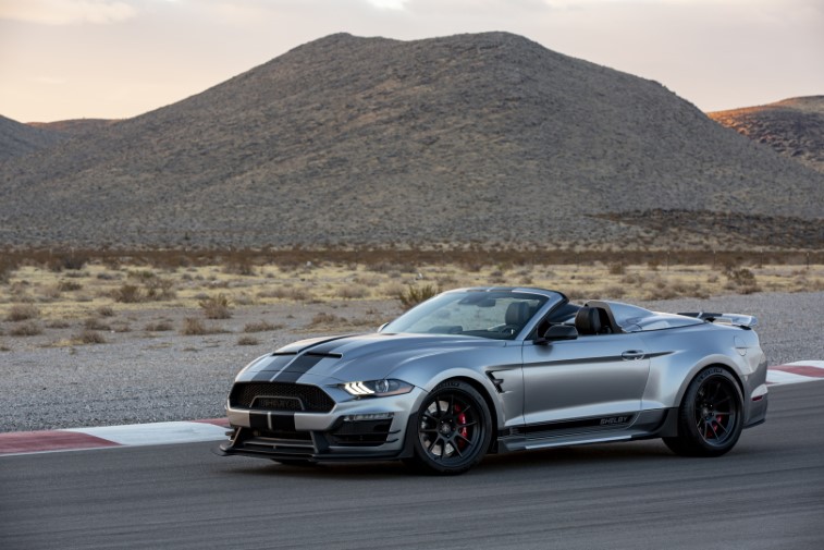 Shelby Super Snake Speedster resim galerisi (16.03.2021)